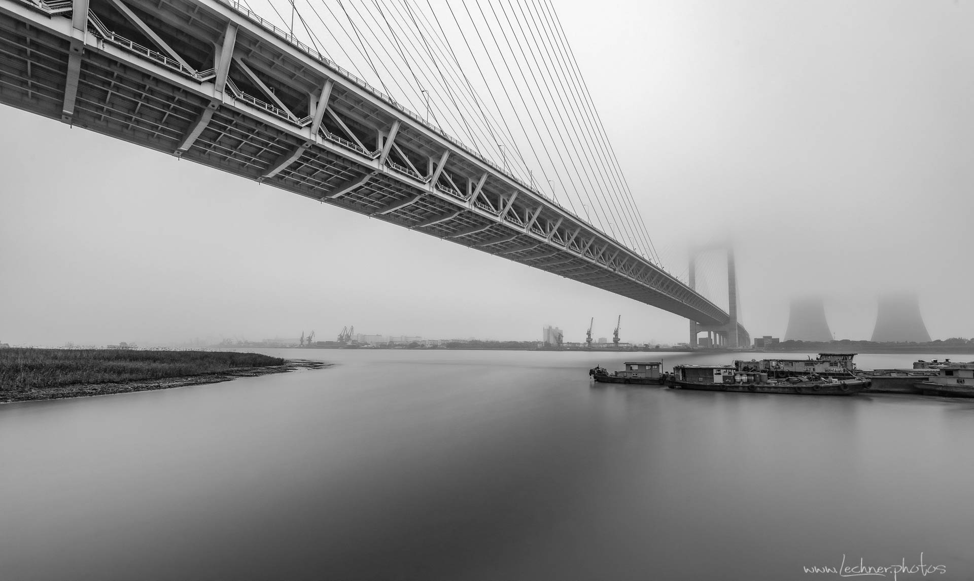 Grey Shanghai